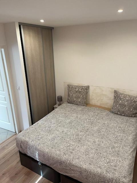 Appartement Oasis Proche De Lyon Groupama Lcdl Meyzieu Exterior photo